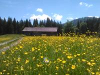 B&B Hittisau - Alpe Leckenholz - Bed and Breakfast Hittisau