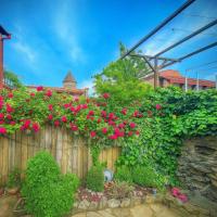 VILLA SABA WITH TWO BEDROOMS- სასტუმრო საბა - Bed and Breakfast Mtscheta