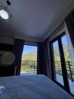 Visitor - B&B Borjomi