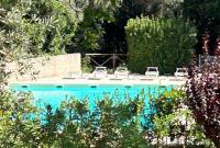house solemonte - B&B Montescudaio