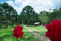 Espaço Gata Mourisca - Ferienwohnung Camanducaia