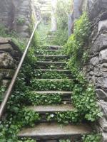 Casa Grillino - B&B Locarno