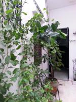 Dar kenza Tunis - B&B