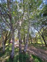 Casa de Vacaciones Naturalis Lodge - Valdivia - Ferienwohnung Valdivia