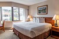 Studio by Resort with Pool Hot Tub Biking Trails - Ferienwohnung Crested Butte