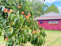 Likensco Beach/Farm House - B&B North Hampton