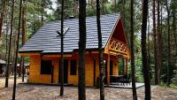 Wpadnij Do Lasu , sosenka - Chambres d’hôtes Ocypel
