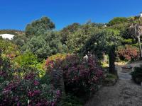 Appartamento Flavia - B&B La Maddalena