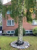 Bright and spacious 3 bedroom with balcony close to the city - B&B Aabenraa