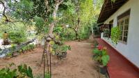 Juno Homestay - B&B