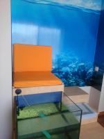 Double Room with Fish Spa Therapy