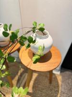 Rym Stay, Cozy 2BR, 3 Beds with Kitchen near Lotte Tower - B&B Seul