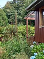 Judbury Bush Retreat, Huon Valley TAS - Chambres d’hôtes Judbury