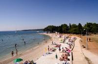 Appartamento con Vista Giardino