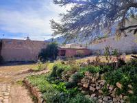 Guasamayo - B&B Tilcara