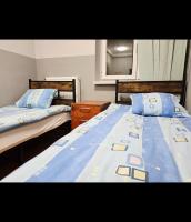 Camera Doppia con Letti Singoli con Bagno Privato