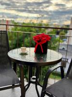 Premium Apartament Boya 44 - B&B Zgierz