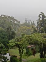 Anny's bnb - B&B Ngong