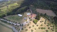 B&B Lastra a Signa - Agriturismo Ai Mandrioli - Bed and Breakfast Lastra a Signa