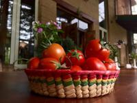 Quinta Cielo - Hotel Boutique y Restaurante - Ferienwohnung Malinalco