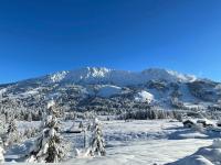 Fewo Heitmann - Bed and Breakfast Oberjoch