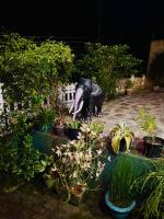 VD Rest Gampola - Bed and Breakfast Gampola