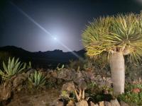 CHC - Casa Rural Dracaena - B&B Buenavista del Norte