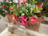 Ars in Villa - Chambres d’hôtes Livourne