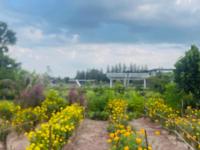 Manee House - บ้านมณี - B&B Buri Ram