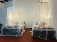 Ella Light Late - B&B Ella Town