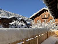 PRODAINS 2 Appartement 6 à 8 personnes à 100m de l'office de tourisme - B&B Morzine