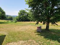 Maison cosy et nature avec vue sur le lac de Neuvic - B&B Liginiac