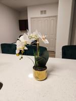 Frisco Vibes With Pool Gym and Elegant 1BR Apart - B&B Frisco