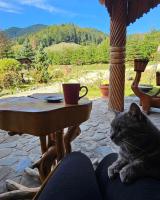 Cabana Perla Muncelului - B&B Stulpicani