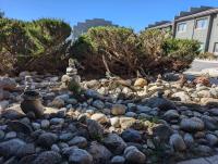 Dogs OK! Prime Home Base minutes to Downtown and Trails - Chambres d’hôtes Buena Vista