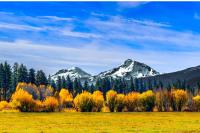 Big Meadow View - B&B Black Butte Ranch