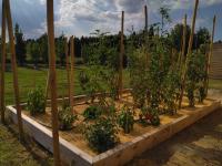 Villa provençale en campagne - B&B Maillane