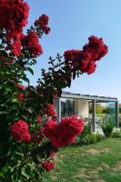Il Giardino di Sofia B&B - B&B Piozzo