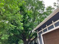 The Texas Bluebonnet Home in Historic McKinney - B&B McKinney