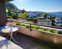 Balcony-Apartment in Schonach center - B&B Schonach