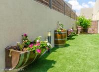 Rom HaTayelet - B&B Arad