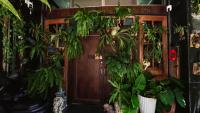 Daguli's Home - B&B Tainan