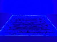 Apartament przy starówce - B&B Danzica