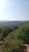 Podere Salceto, terrazza sul Chianti - B&B San Casciano in Val di Pesa