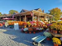 Bayfront & nature preserve! - B&B Riverhead