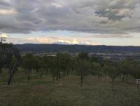 Cabana Valea Brazilor - B&B Tutana