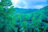 Tweepersoonskamer met Uitzicht op de Bergen