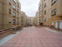 Live Las Palmas Wind Rose - B&B Las Palmas de Gran Canaria