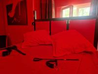 Le Donjon de la Garonne Suite BDSM - Ferienwohnung Pompignan