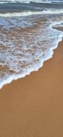 Galle Beach Villa - B&B Rathgama